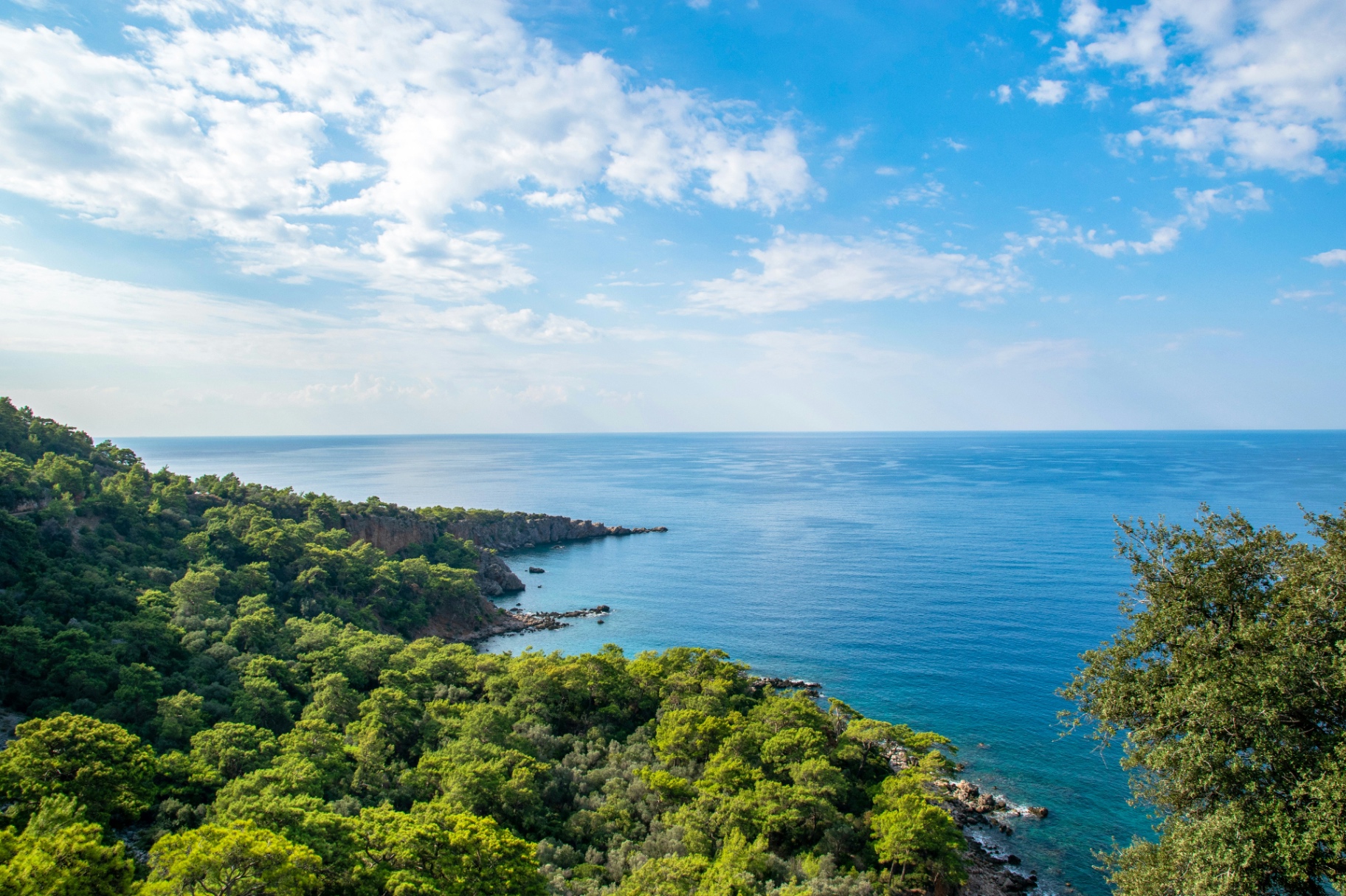 Forested coastline meeting a calm blue sea under a soft cloudy sky